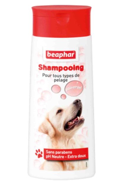 Picture of Sampuan Unıversal 250 Ml Bubble Makadamia Yağı