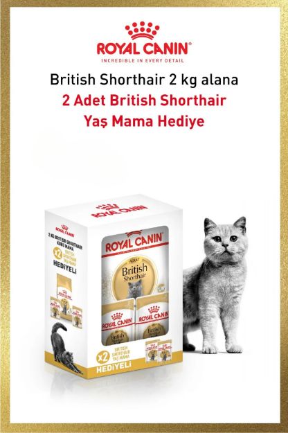 Picture of Royal Canin Brıtısh shorthaır 2 kg +2 adet pounch hediyeli Bundle 