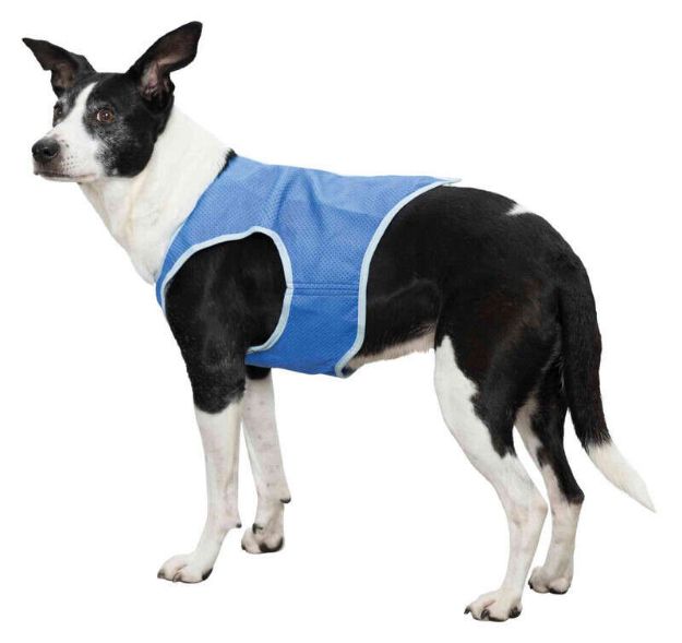 Picture of Trixie Köpek Soğutucu Yelek, M : 30cm, Mavi