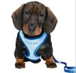 Picture of Trixie Yavru Köpek Göğüs Tasma ve Sevk Kayışı 23-34cm/2m/10mm
