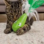 Picture of Trixie Kedi Oyuncağı Otomatik Titreşimli 6 Cm