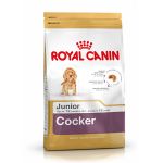 Picture of Royal Canin Cocker Junior Yavru Köpek Maması 3 Kg