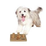 Picture of Camon Köpekler İçin Kare Oyuncak "Genius"