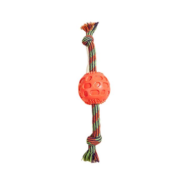 Picture of Zampa Plastik Toplu İpli Köpek Oyuncağı, 37cm