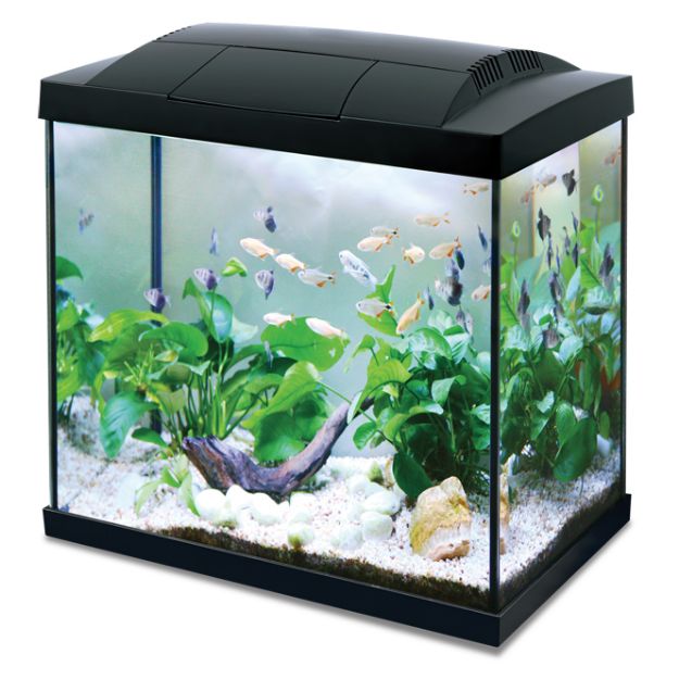 Picture of Hailea K45 Akvaryum Siyah