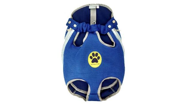 Picture of Lavista Pet Ana Kucağı Mavi XL