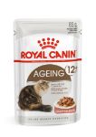 Picture of Royal Canin Ageing+12 Kedi Konservesi 85Gr