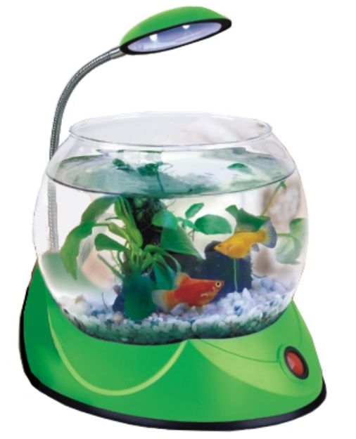 Picture of Hailea V-01 Led Aydınlatmalı Fanus 2,5 lt Yeşil