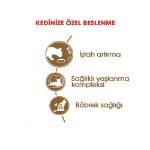 Picture of Royal Canin Ageing +12 Yaşlı Kedi Maması 2Kg