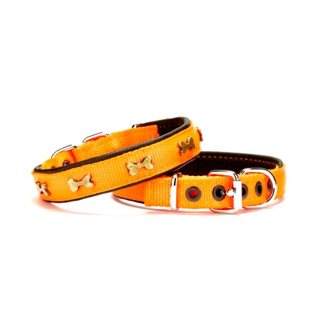 Picture of Doggie Kemik Metal Süslü Softlu Köpek Boyun Tasması Turuncu DSBT-2562 M