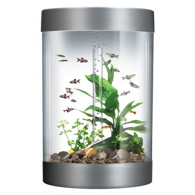 Picture of Biorb Biube Silindir Akvaryum Led Aydınlatmalı 35 lt Gümüş