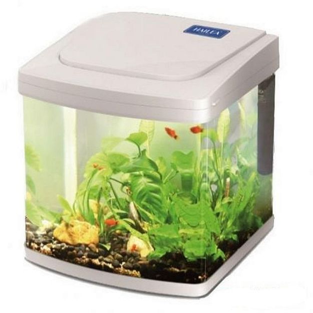 Picture of Hailea AU30 Komple Akvaryum 30 Lt Beyaz