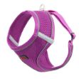 Picture of Natura Air Net Ayarlanabilir Bel Tasması XS Mor