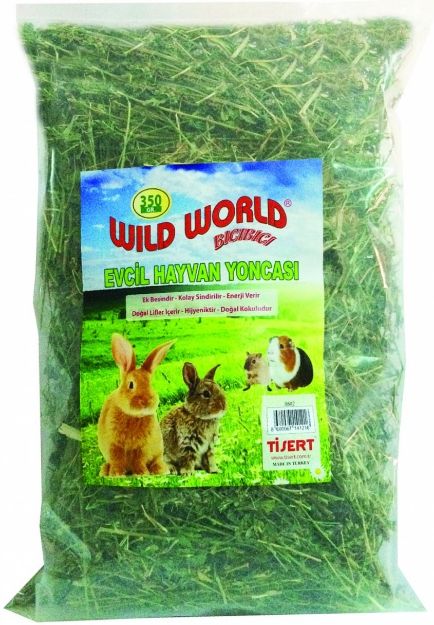 Picture of Beaks Wild World Kemirgen Yoncası