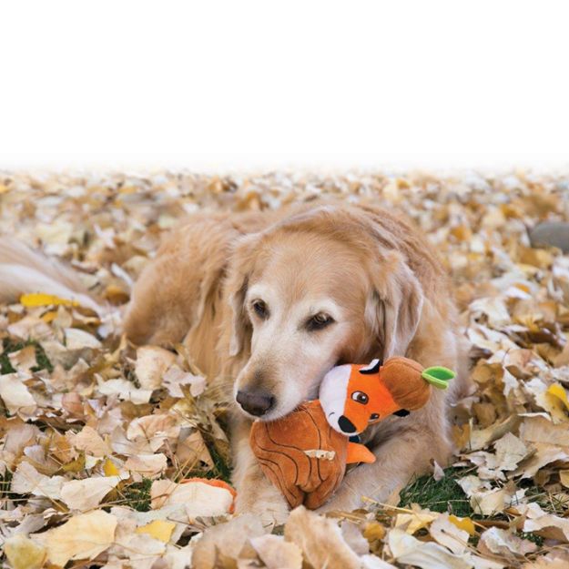 Picture of Kong Köpek Oyuncak, Puzzlements Tilki, S