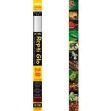 Picture of Exo Terra Repti Glo 2.0 14W 38 Cm