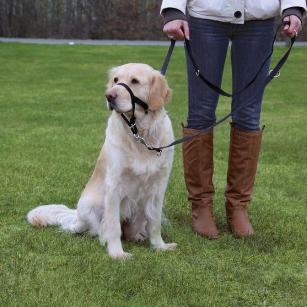 Picture of Trixie Uzman Köpek Eğitim Tasması L 31Cm