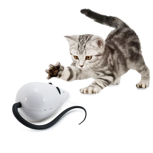 Picture of Petsafe Frolıcat Rolorat Oyuncak Pty 19-16224