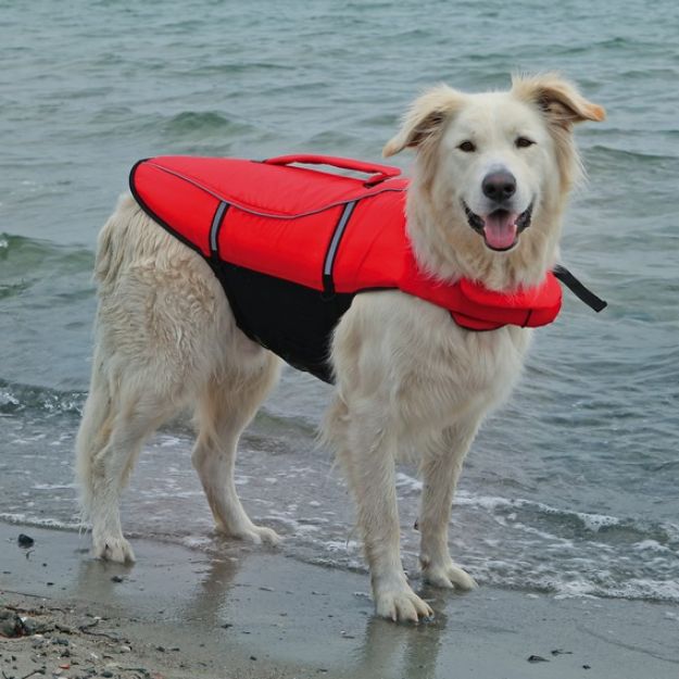 Picture of Trixie Köpek Can Yeleği 26 cm XSmall