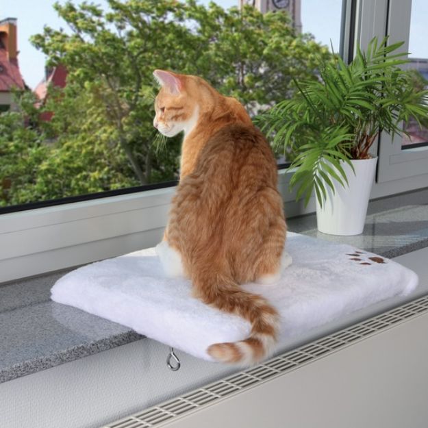 Picture of Trixie Kedi İçin Cam Önü Oturma Platformu Beyaz 51 cm x 36 cm