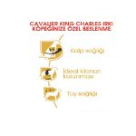 Picture of Royal Canin Cavalier King Charles Köpek Maması 3Kg