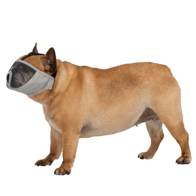 Picture of Trıxe Kısa Burunlu Köpek Ağızlığı S-M Kısa Gri 17626