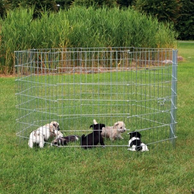 Picture of Trixie Yavru ve Küçük Irk Köpek Açık Hava Oyun Alanı