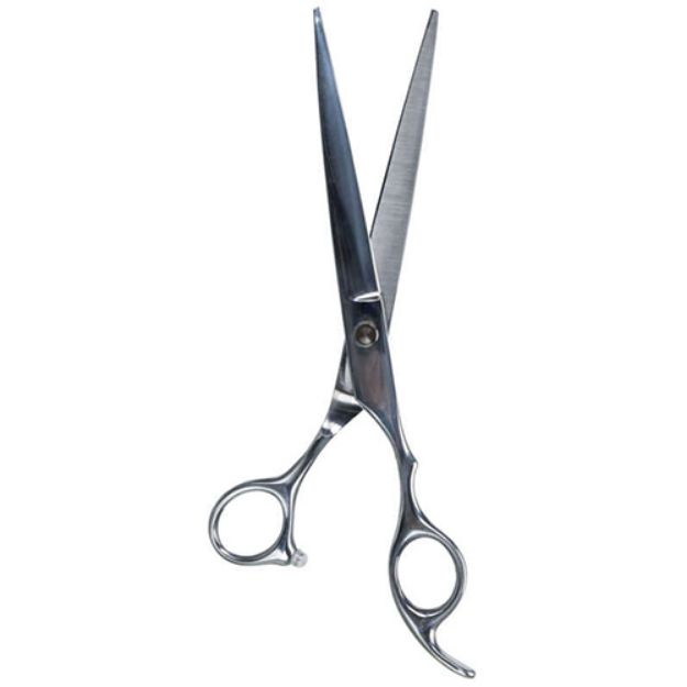 Picture of Trixie Köpek Bakım Trim Makası, Paslanmaz 20cm
