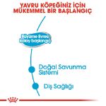 Picture of Royal Canin Starter Yavru Köpek Konservesi 195Gr