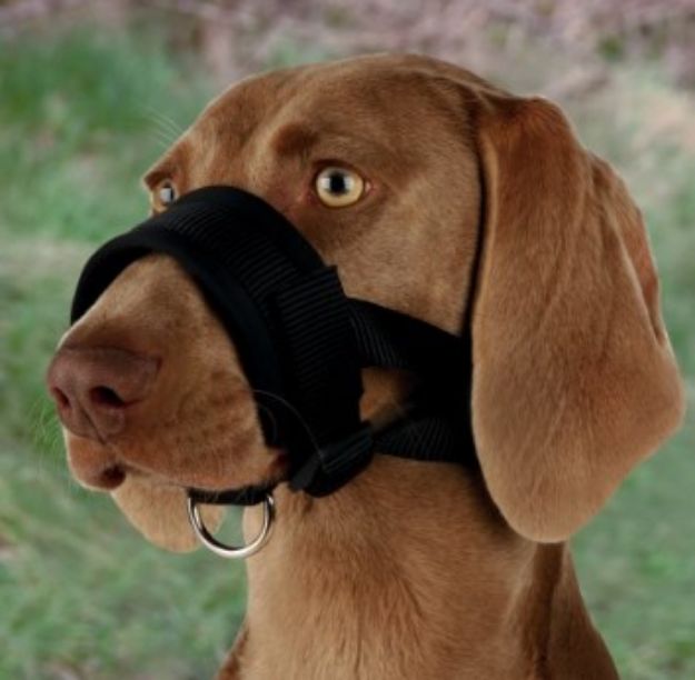 Picture of Trixie Köpek Ağızlık, L ( Doberman )