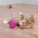 Picture of Trixie Kedi Oyuncağı Otomatik Sesli Yumurta 7 Cm