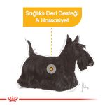 Picture of Royal Canin Dermacomfort Hassas Yetişkin Köpek Pouch Konserve 85 Gr