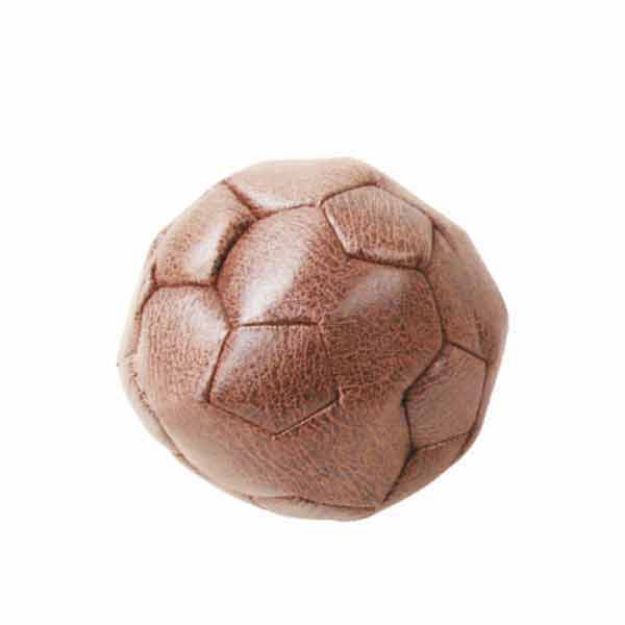 Picture of Pawise Köpek Oyuncağı Vintage Football-M