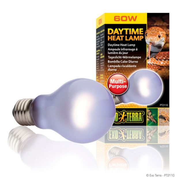 Picture of Exo Terra Gün Işığı Sürüngen İçin Lamba 60 watt