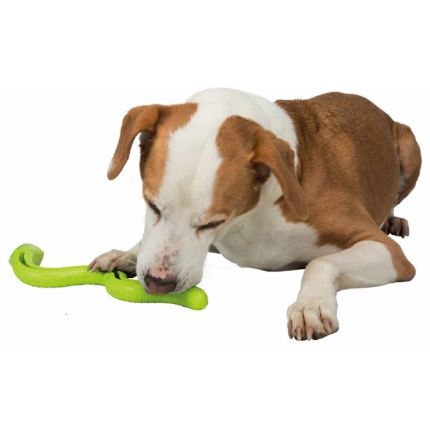 Picture of Trixie Köpek Ödül Oyuncağı, Yeşil Yılan, Tpr  42 Cm