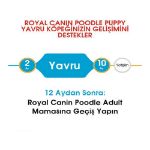 Picture of Royal Canin Poodle Yavru Köpek Maması 3 kg