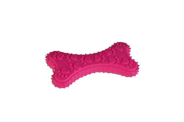 Picture of Zampa Köpekler İçin Pati Desenli Oyuncak, 10.5cm