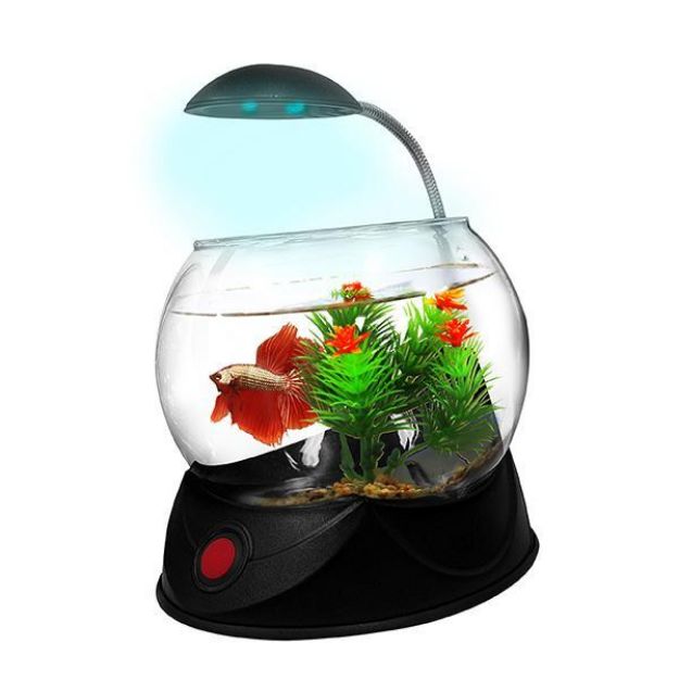 Picture of Hailea V-02S Fanus 1,8 Lt Siyah Led Aydınlatmalı Çakıl ve Süs Hediyeli