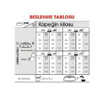 Picture of Royal Canin Dermacomfort Maxi Hassas Deri ve Tüylü Köpek Maması 12 kg