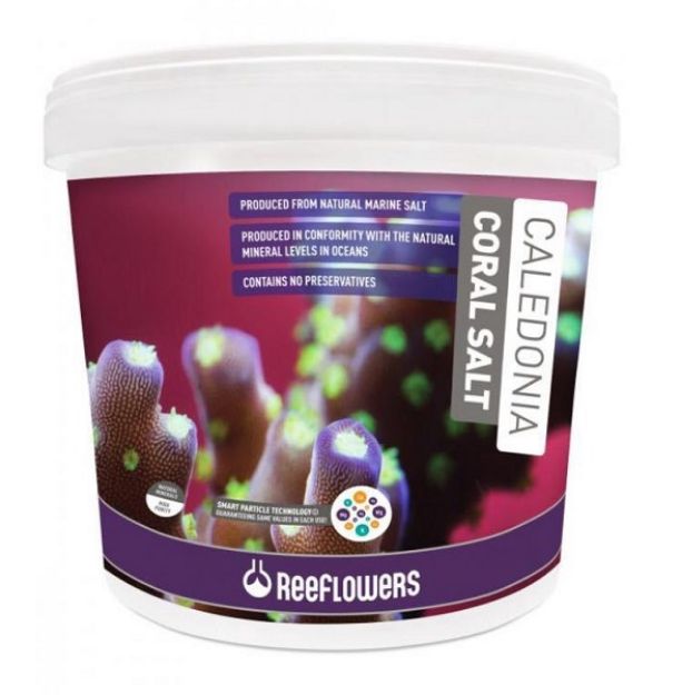 Picture of Reeflowers Caledonia Coral Salt 22 Kg
