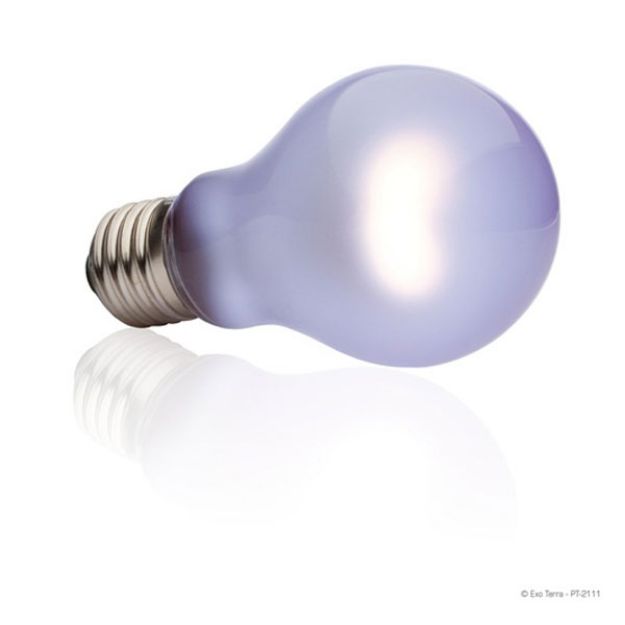Picture of Exo Terra Day Glo Bulb Sürüngen İçin Lamba 100 watt Küçük