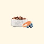 Picture of Natura LowGrain Adult Cat Food with Salmon & Blueberry 2,25kg