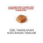 Picture of Royal Canin Cavalier King Charles Köpek Maması 3Kg