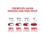 Picture of Royal Canin Ageing +12 Yaşlı Kedi Maması 2Kg