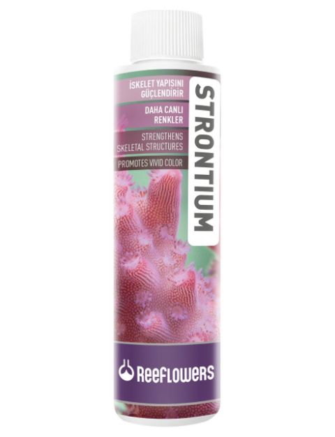 Picture of Reef Flowers Strontium 500 ml Tuzlu Su Akvaryumu Strontium Katkısı 500 ml