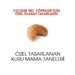 Picture of Royal Canin Cocker Köpek Maması 3Kg