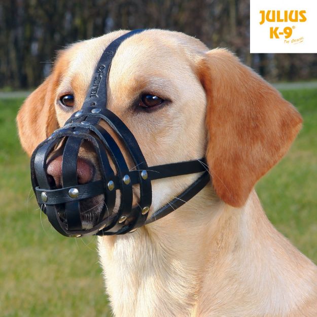 Picture of Trixie Juius K9 Köpek Deri Ağızlık M-S 