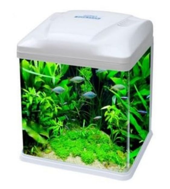 Picture of Aqua Master Akvaryum Led 26x21x32cm