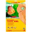 Picture of Sera Catappa Yaprağı XXL 32 Cm