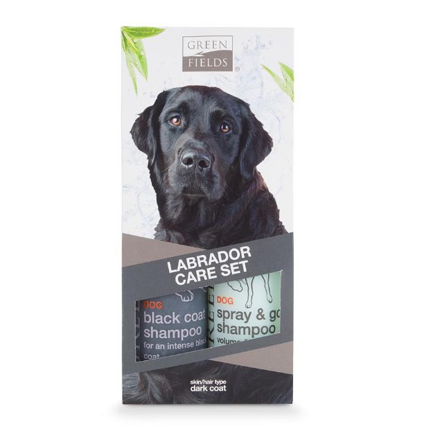 Picture of GreenFields Black Labrador Care Set 2 x 250ml